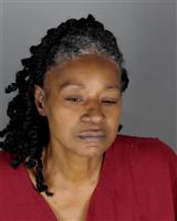 ANGELA MARIE HANEY Mugshot / Oakland County MI Arrests / Oakland County Michigan Arrests