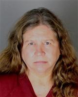 DIANE MARIE HANSEN Mugshot / Oakland County MI Arrests / Oakland County Michigan Arrests