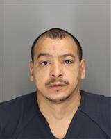 CELSO  RUIZ Photo / CELSO  RUIZ Images