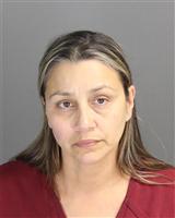 JULIETA GALVEZ FLORES Mugshot / Oakland County MI Arrests / Oakland County Michigan Arrests