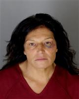 SHERYL ANN AMICO Mugshot / Oakland County MI Arrests / Oakland County Michigan Arrests