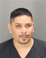 OSCAR JR RAMIREZ Mugshot / Oakland County MI Arrests / Oakland County Michigan Arrests
