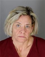 JULIE ANNE SOCKOW Mugshot / Oakland County MI Arrests / Oakland County Michigan Arrests
