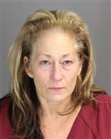 KRISTIN DIAMANT JOHNSON Mugshot / Oakland County MI Arrests / Oakland County Michigan Arrests