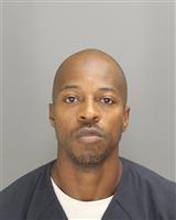 LOUIS EDWARD NEWELL Mugshot / Oakland County MI Arrests / Oakland County Michigan Arrests