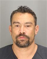 STEVEN MATTHEW WHITTON Photo / STEVEN MATTHEW WHITTON Images