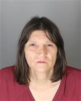 CYNTHIA HELENE NOVAK Mugshot / Oakland County MI Arrests / Oakland County Michigan Arrests