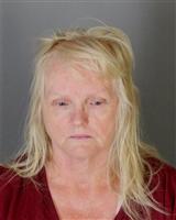 PATRICIA ANN THIES Mugshot / Oakland County MI Arrests / Oakland County Michigan Arrests