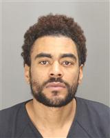 DORIAN RICARDO HALL Mugshot / Oakland County MI Arrests / Oakland County Michigan Arrests