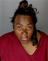 TINA M STERLING Mugshot / Oakland County MI Arrests / Oakland County Michigan Arrests