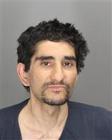 JIMMY  ALDAOUD Mugshot / Oakland County MI Arrests / Oakland County Michigan Arrests