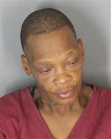 FRANCES SYLVIA JOHNSON Mugshot / Oakland County MI Arrests / Oakland County Michigan Arrests