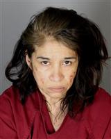 ELISA SUSANNA OKKONEN Mugshot / Oakland County MI Arrests / Oakland County Michigan Arrests