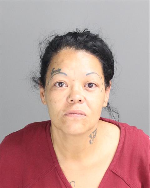 SONIA NOEMI SANTIAGO CAYETANO Mugshot / Oakland County MI Arrests / Oakland County Michigan Arrests