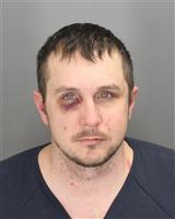 DOUGLAS JAMES SIRLS Mugshot / Oakland County MI Arrests / Oakland County Michigan Arrests