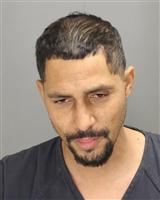 MICHAEL MAXWELL BAK Photo / MICHAEL MAXWELL BAK Images