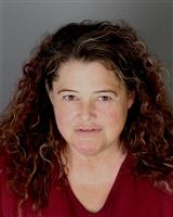 JAMIE LYNN JOHNSON Mugshot / Oakland County MI Arrests / Oakland County Michigan Arrests