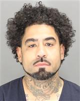 FERNANDO LOUIS RIVERA Mugshot / Oakland County MI Arrests / Oakland County Michigan Arrests