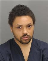 ROCHELL LYNN THOMAS Mugshot / Oakland County MI Arrests / Oakland County Michigan Arrests