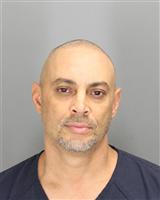 JOHN THEO BREEDLOVE Photo / JOHN THEO BREEDLOVE Images