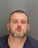 DANNY CLINE POTTER Photo / DANNY CLINE POTTER Images