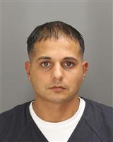 AHMAD HUSSEIN KARKABA Photo / AHMAD HUSSEIN KARKABA Images