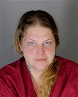 ANDREA MARIE CALKINS Mugshot / Oakland County MI Arrests / Oakland County Michigan Arrests