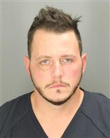 MATTHEW MARK MELLISH Mugshot / Oakland County MI Arrests / Oakland County Michigan Arrests