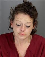 MANDY ANN FROWNFELTER Mugshot / Oakland County MI Arrests / Oakland County Michigan Arrests