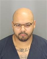 GONZALO  ROMERO Mugshot / Oakland County MI Arrests / Oakland County Michigan Arrests