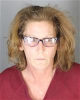 JULIANA MARIE STEVENS Mugshot / Oakland County MI Arrests / Oakland County Michigan Arrests