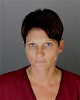 WENDY LYNN VELLUCCI Mugshot / Oakland County MI Arrests / Oakland County Michigan Arrests