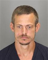 DAVID LEE PARKS Mugshot / Oakland County MI Arrests / Oakland County Michigan Arrests