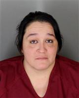 MEGHANN ELIZABETH SAUER Mugshot / Oakland County MI Arrests / Oakland County Michigan Arrests