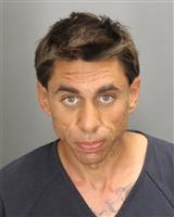 ANTHONY DANIEL PALAZZOLO Photo / ANTHONY DANIEL PALAZZOLO Images