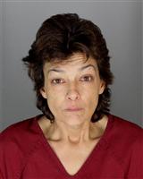 SERENA ANN CAMACHO Mugshot / Oakland County MI Arrests / Oakland County Michigan Arrests