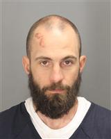 NICHOLAS ROY STURGEON Mugshot / Oakland County MI Arrests / Oakland County Michigan Arrests