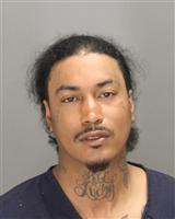 MICHAEL LEE NEWLAND Photo / MICHAEL LEE NEWLAND Images