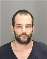 MARK ANTHONY DELEWSKY Mugshot / Oakland County MI Arrests / Oakland County Michigan Arrests