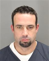 PAUL CHRISTOPHER SCHWARTZ Mugshot / Oakland County MI Arrests / Oakland County Michigan Arrests