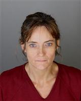 LISA LEE VIOHL Mugshot / Oakland County MI Arrests / Oakland County Michigan Arrests