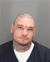 ERIC BENJAMIN LUZ Mugshot / Oakland County MI Arrests / Oakland County Michigan Arrests