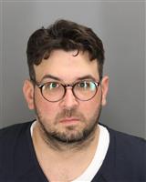 MICHAEL STEVEN DOLENGA Mugshot / Oakland County MI Arrests / Oakland County Michigan Arrests