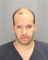 CROSBY JUNIOR SWINNEYHENKEL Mugshot / Oakland County MI Arrests / Oakland County Michigan Arrests