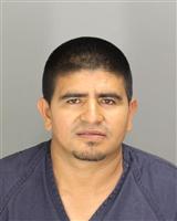 ISMAEL A RODRIGUEZ Photo / ISMAEL A RODRIGUEZ Images