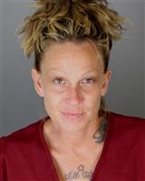 CRISTINA MARIE ATCHISON Mugshot / Oakland County MI Arrests / Oakland County Michigan Arrests
