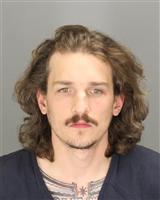 NICHOLAS  PARROTT Photo / NICHOLAS  PARROTT Images