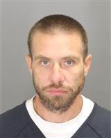 DAVID ALLEN STAHL Mugshot / Oakland County MI Arrests / Oakland County Michigan Arrests