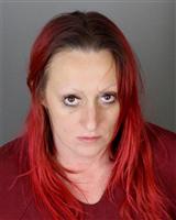 TANYA MARIE HUTCHINSON Mugshot / Oakland County MI Arrests / Oakland County Michigan Arrests