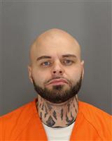 DANIEL RAY MYLIN Mugshot / Oakland County MI Arrests / Oakland County Michigan Arrests